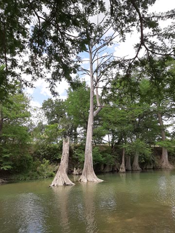 Comfort, Texas